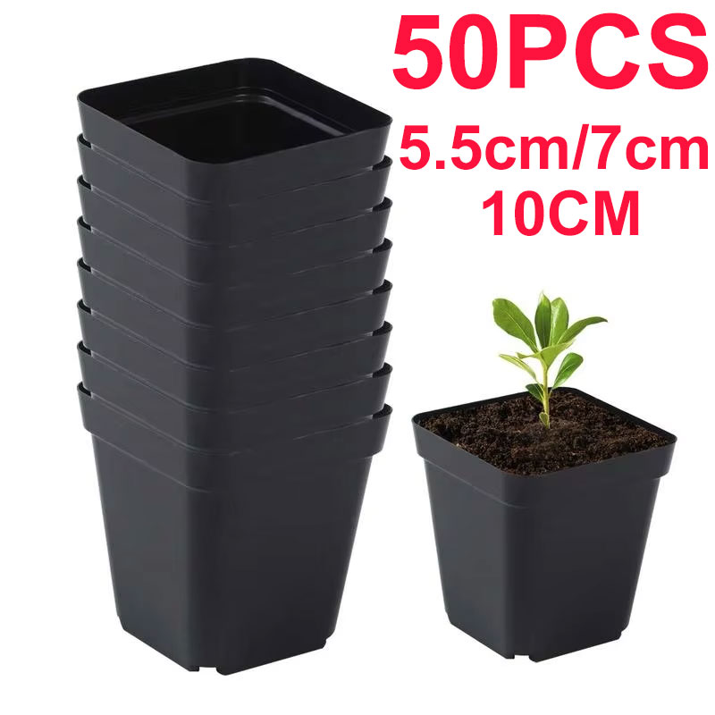 Seedling Pots 50Pcs Square Pla - Net Pot 3 Inch ulasan dan harga