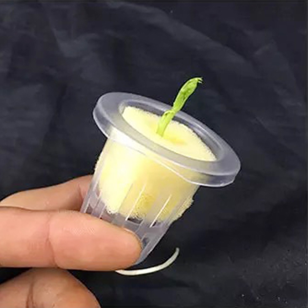 10Pcs Hydroponic Mesh Cups Gar - Net Pot 3 Inch ulasan dan harga
