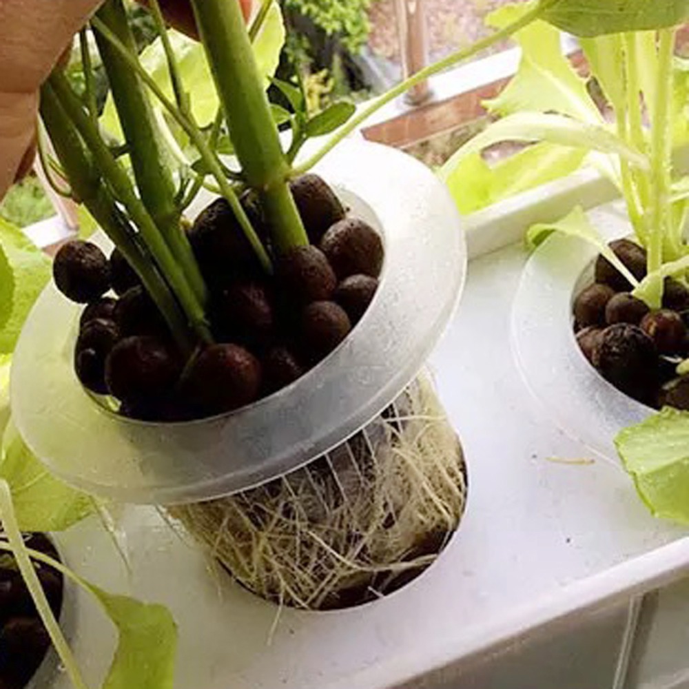 10Pcs Hydroponic Mesh Cups Gar - Net Pot 3 Inch ulasan dan harga