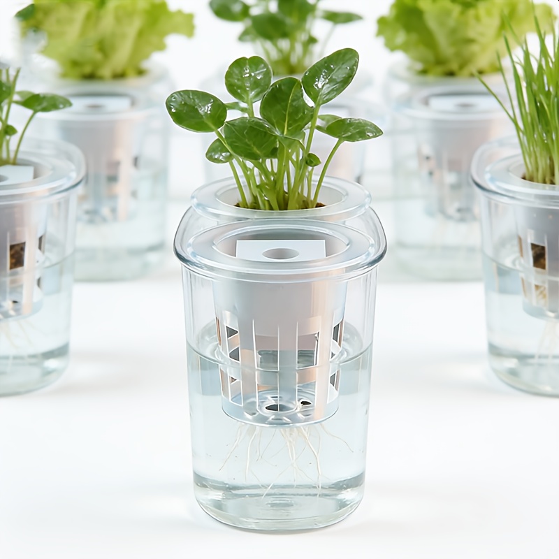10pcs Hydroponic Seedling Bask - Net Pot 3 Inch ulasan dan harga