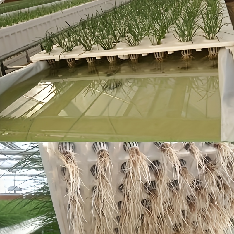 10pcs Hydroponic Seedling Bask - Net Pot 3 Inch ulasan dan harga