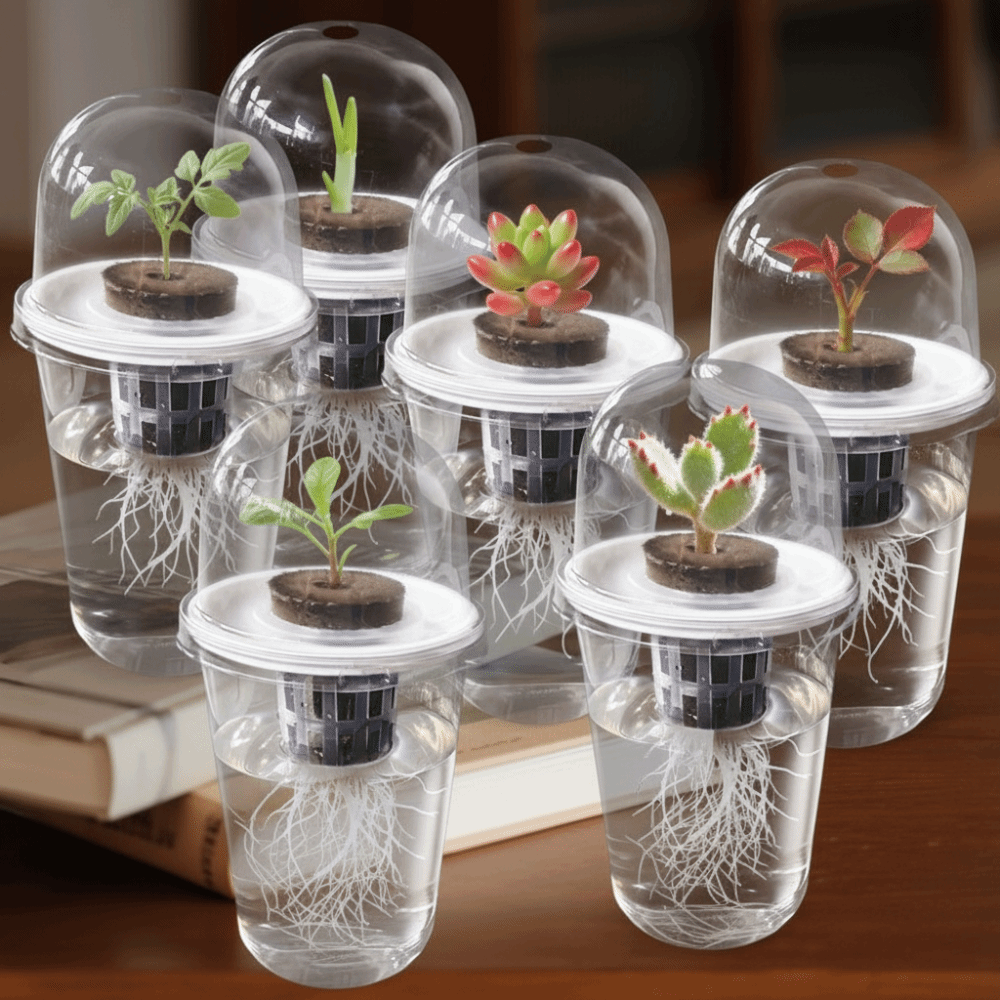 1-5pc Visible Clear Plants Ger - Net Pot 3 Inch ulasan dan harga