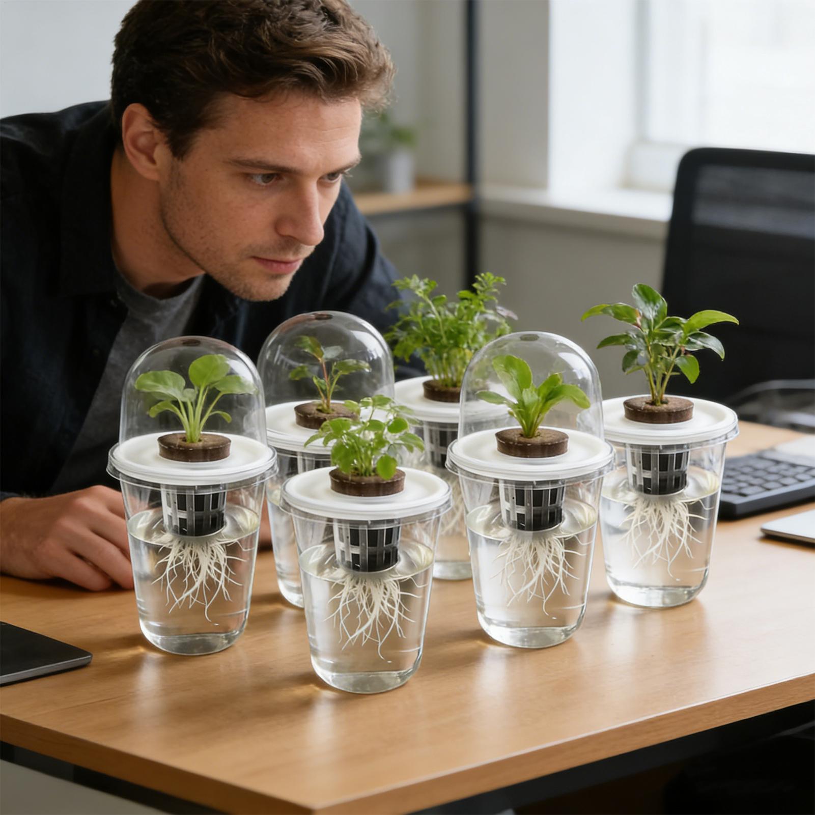 1-5pc Visible Clear Plants Ger - Net Pot 3 Inch ulasan dan harga