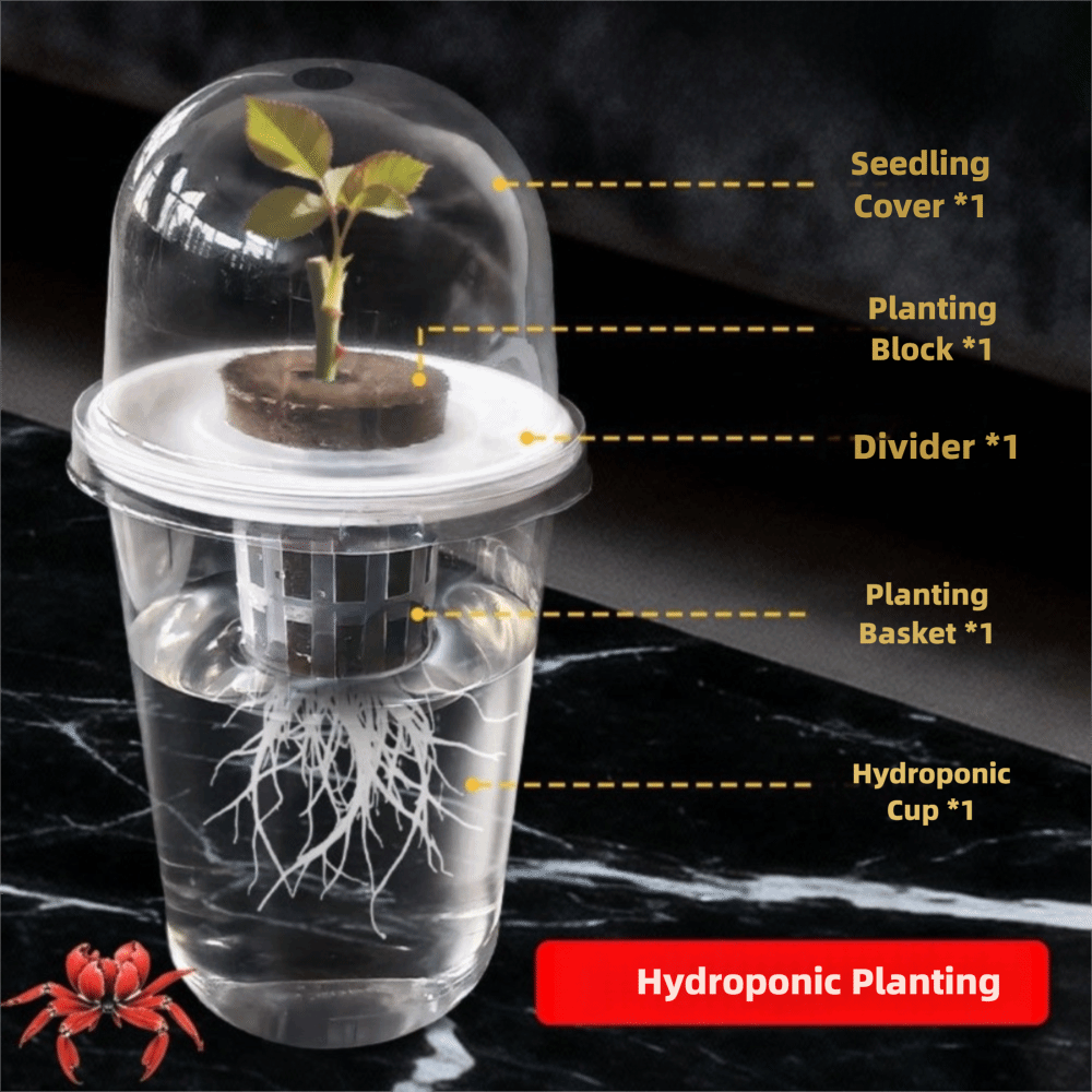 1-5pc Visible Clear Plants Ger - Net Pot 3 Inch ulasan dan harga