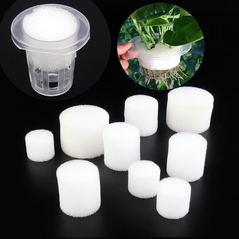 50pcs White Mesh Cup Sponge Ga - Net Pot 3 Inch ulasan dan harga