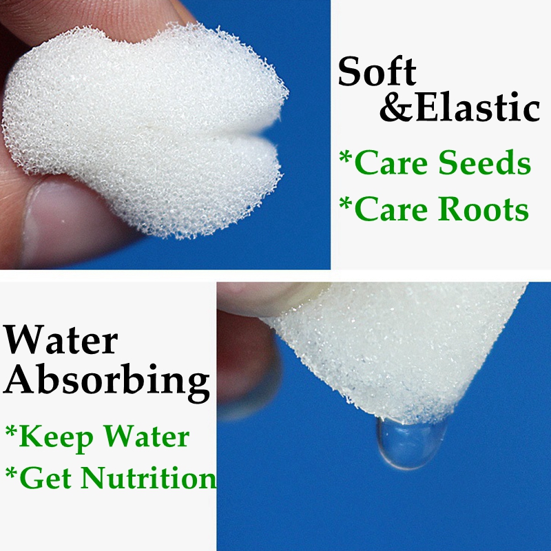 50pcs White Mesh Cup Sponge Ga - Net Pot 3 Inch ulasan dan harga