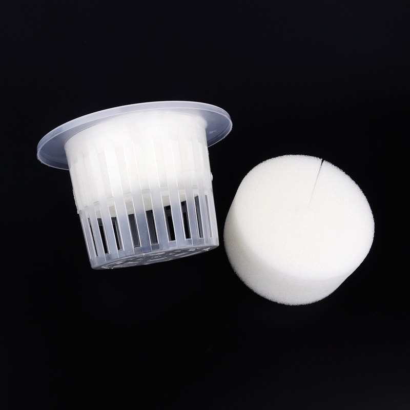 50pcs White Mesh Cup Sponge Ga - Net Pot 3 Inch ulasan dan harga