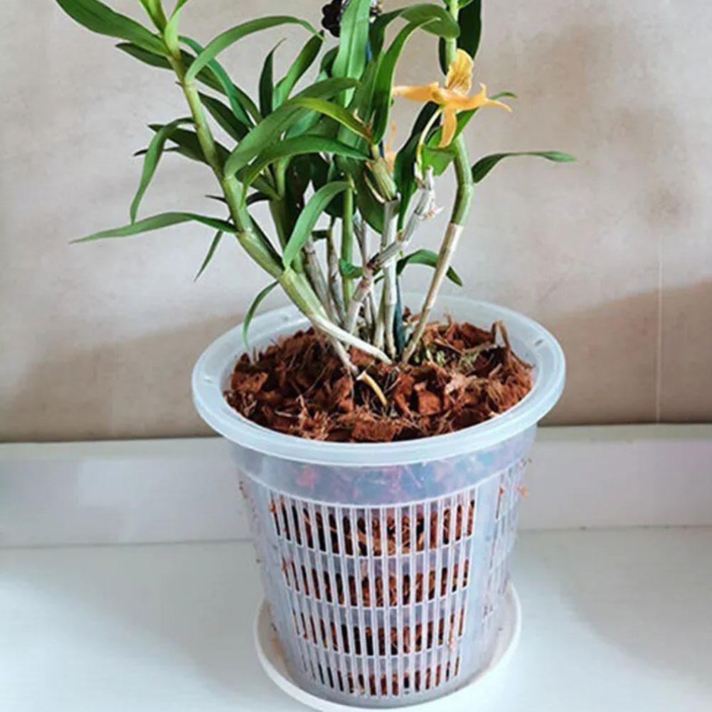 11/14/16/19cm Mesh Pot Root Co - Net Pot 3 Inch ulasan dan harga