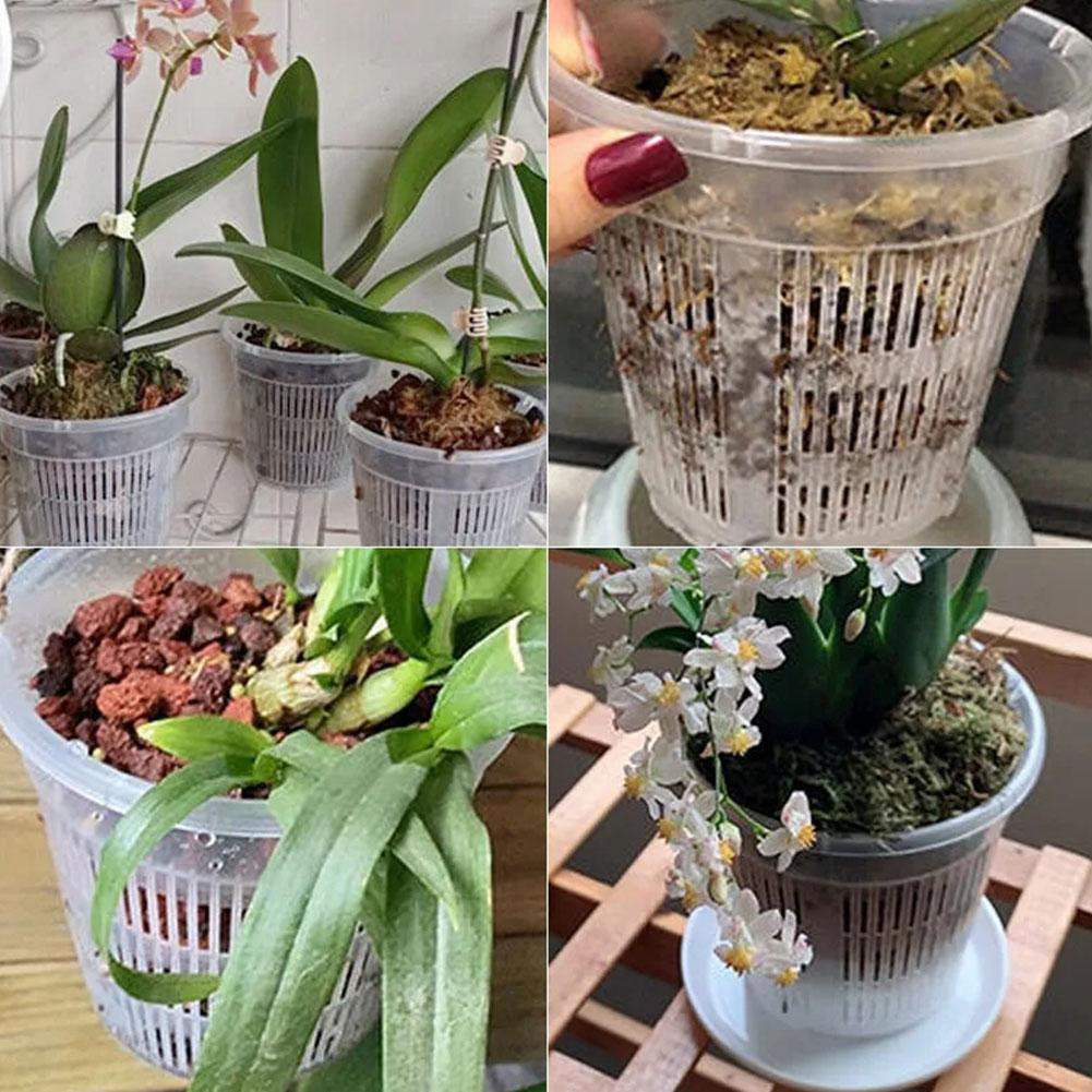 11/14/16/19cm Mesh Pot Root Co - Net Pot 3 Inch ulasan dan harga