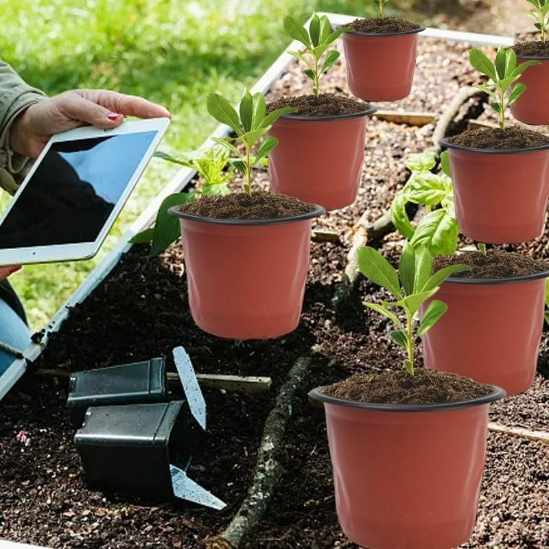 100/20x Seeding Nursery Pot Bl - Net Pot 3 Inch ulasan dan harga
